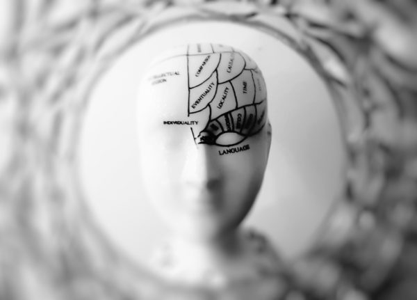 Brain Schematic - Language Centers