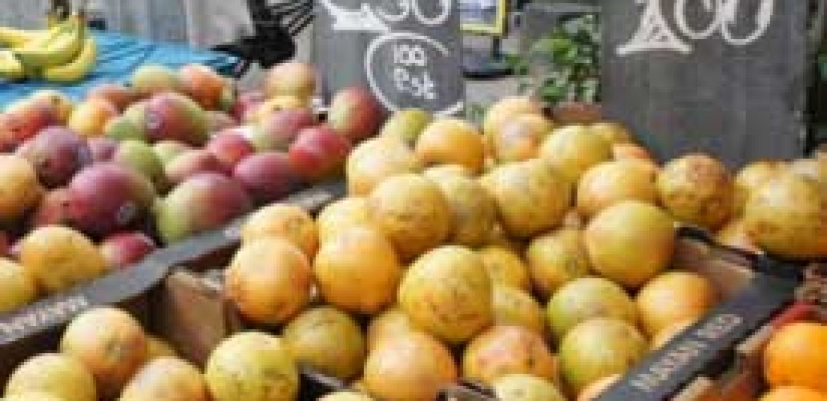 Pesticide Exposure Linked to Lower IQ  in Children