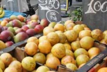 Pesticide Exposure Linked to Lower IQ  in Children