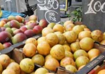 Pesticide Exposure Linked to Lower IQ  in Children