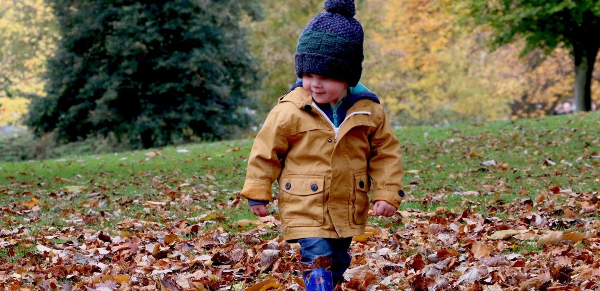 Fun Fall Activities for Children in Bellevue and Beyond