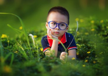 Babies Have Basic Reasoning Skills Before Language, New Study Finds
