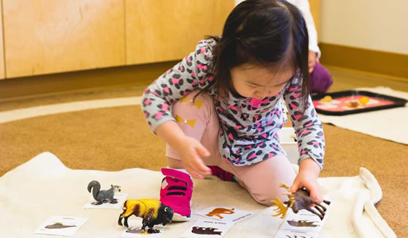 Montessori School Toddler Doing Animal Matching Activity