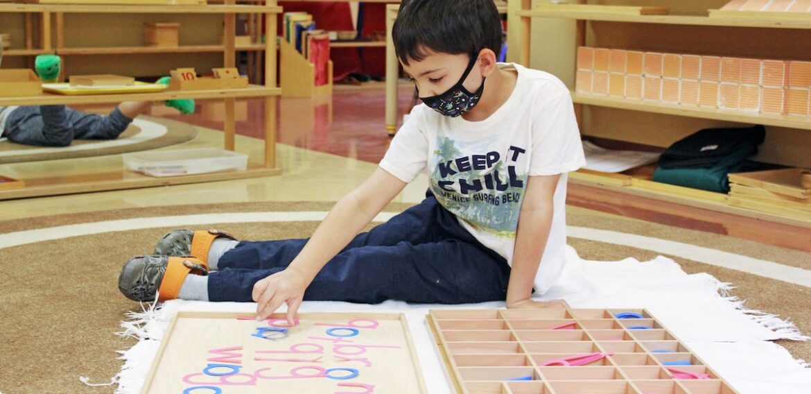 Online vs. In-Person Learning Montessori