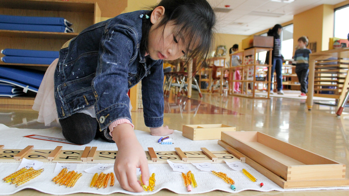 Primary School Student Demonstrating Quantities From 10-99