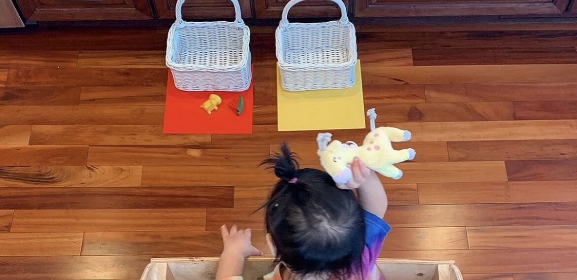 Color Roundup – Day 15 of 15 Days of Winter Break Activities