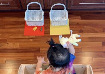 Color Roundup – Day 15 of 15 Days of Winter Break Activities