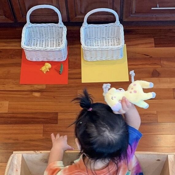 Color Roundup – Day 15 of 15 Days of Winter Break Activities
