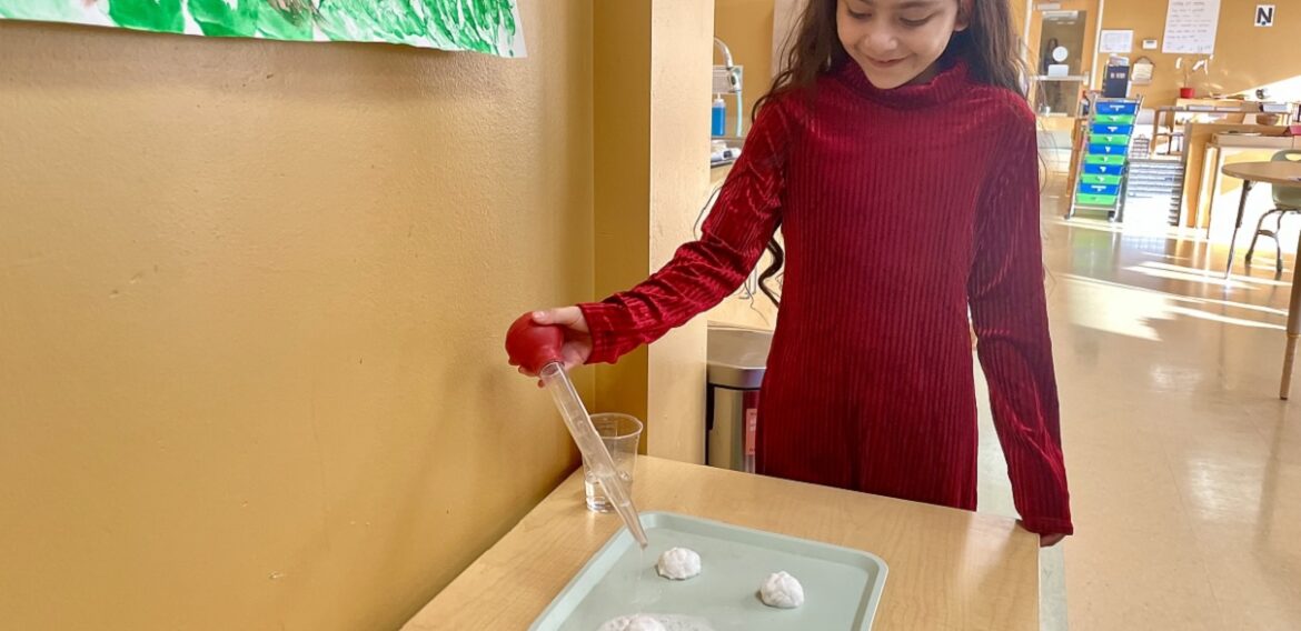 Melting Snowballs Experiment – Day 3 of 15 Days of Winter Break