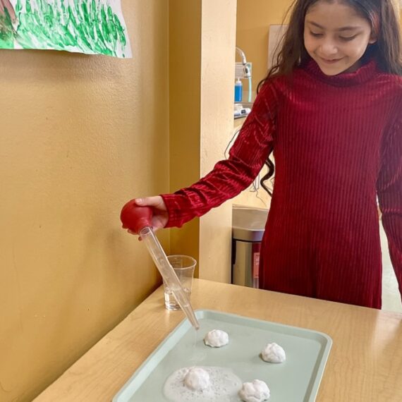 Melting Snowballs Experiment – Day 3 of 15 Days of Winter Break