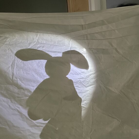 Shadow Show And Tell – Day 9 of 15 Days of Winter Break Activities